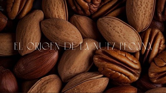 ¿Sabes de donde viene la nuez pecana?