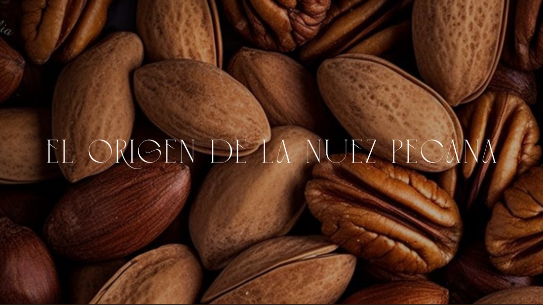 ORIGEN NUEZ PECANA